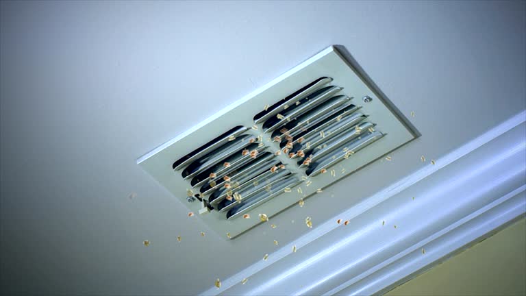 Best Duct Cleaning for Homes  in South Hill, WA